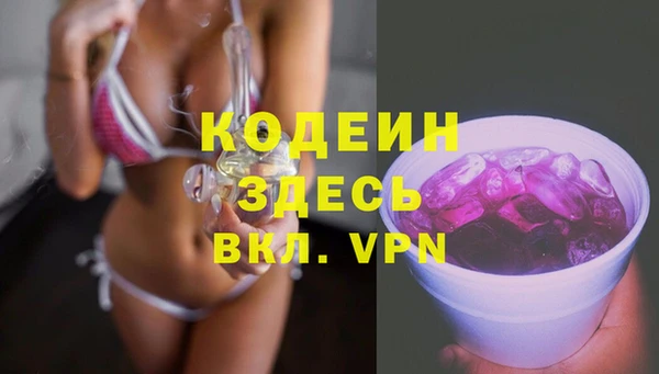 хмурый Абаза