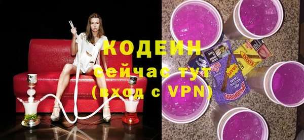 хмурый Абаза
