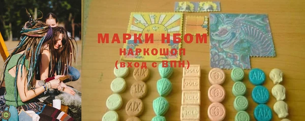 хмурый Абаза