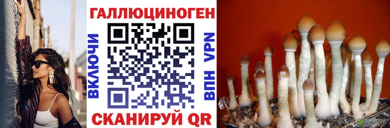кракен онион  Электроугли  Псилоцибиновые грибы MAGIC MUSHROOMS  что такое наркотик 